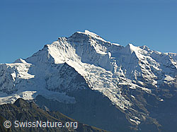 Foto: Jungfrau und Giessengletscher