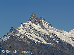 F040268: Schreckhorn und Lauteraarhorn