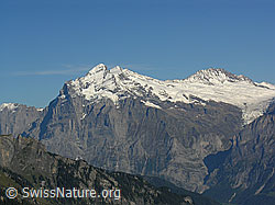 F040271: Wetterhorn und Bärglistock