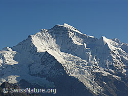 Foto: Jungfrau mit Silberhorn