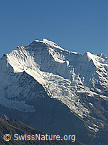 Foto: Jungfrau und Silberhorn