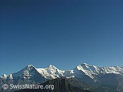 F040286: Eiger, Mönch und Jungfrau