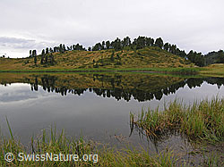 F040311: Spiegelung im Sewenseeli