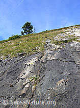F040349: Berghang am Fürstein