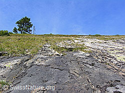 F040351: Felsplatte am Fürstein