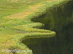 F040469: Ufer und Halbinsel
