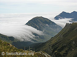 F040478: Nebelwalze am Schimbrig