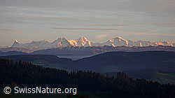 F041012: Abendstimmung über dem Emmental mit Eiger, Mönch und Jungfrau