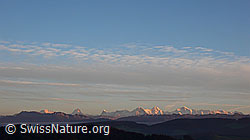 F041013: Abendstimmung mit den Berner Alpen