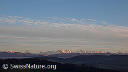 F041014: Abendstimmung mit den Berner Alpen