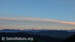 F041016: Abendstimmung mit den Berner Alpen