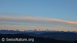 F041018: Abendstimmung mit den Berner Alpen