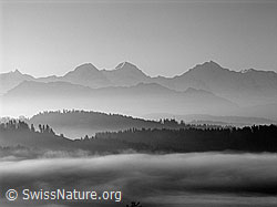 F041073: Nebelmeer mit Eiger, Mönch und Jungfrau