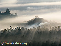 F041076: Morgenstimmung mit Nebel