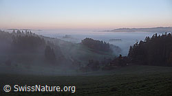 F041093: Herbststimmung mit Nebelmeer