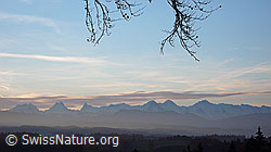 F041142: Berner Alpen von der Lueg
