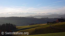 F041143: Lanschaft bei der Lueg