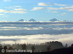 F041167: Herbststimmung auf der Lueg