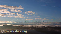 F041194: Herbstliche Morgenstimmung auf der Lueg