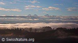 F041195: Morgenstimmung auf der Lueg