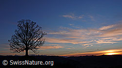 F041202: Abendstimmung mit Sonnenuntergang