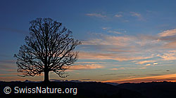 F041209: Abendstimmung