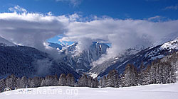 F041876: Nebelschwaden über dem Binntal