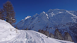 F041886: Winterlandschaft mit Schinhorn und Schneeschuhspur
