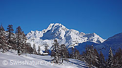 F041904: Winterlandschaft mit Ofenhorn, Lärchenwald und Alphütte
