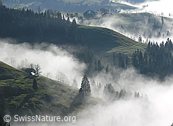 F042264: Nebelmeer in Emmentaler Gräben