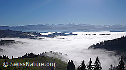 F042290: Nebelmeer über dem Emmental