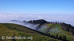 F042291: Nebelmeer über dem Mittelland
