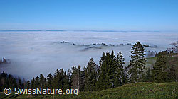 F042294: Nebelmeer über dem Mittelland