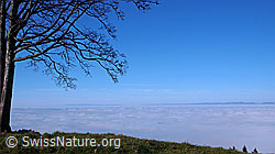 F042297: Nebelmeer über Emmental und Mittelland