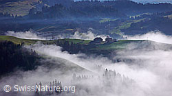 F042302: Bauernhof auf Krete über dem Nebelmeer
