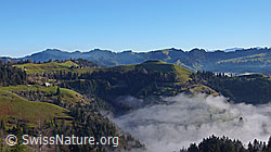 F042303: Nebelschwaden in Emmentaler Graben