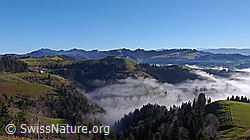 F042304: Nebelmeer in Emmentaler Hügellandschaft