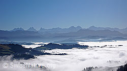 F042310: Blick über Nebelmeer zu den Berner Alpen