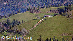 F042331: Stall auf Krete