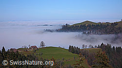 F042334: Nebelmeer zwischen Emmentaler Hügeln