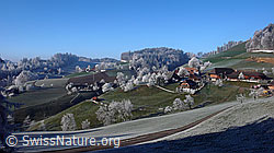 F042588: Raureiflandschaft Lueg, Affoltern