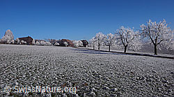 F042593: Raureiflandschaft