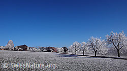 F042594: Raureiflandschaft mit Bauernhöfen