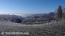 F042602: Zaun in Raureiflandschaft