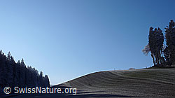 F042618: Raureiflandschaft