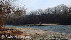 F042764: Aare: Fluss und Kiesbank