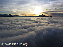 F042812: Abendstimmung mit Pilatus und Nebelmeer