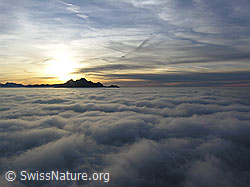 F042815: Pilatus mit Abendstimmung und Nebelmeer