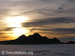 F042847: Pilatus mit Sonnenuntergang und Nebelmeer