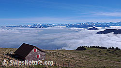 F042858: Nebelmeer über der Region Schwyz